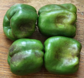 Produce Shrinkage Bell Peppers