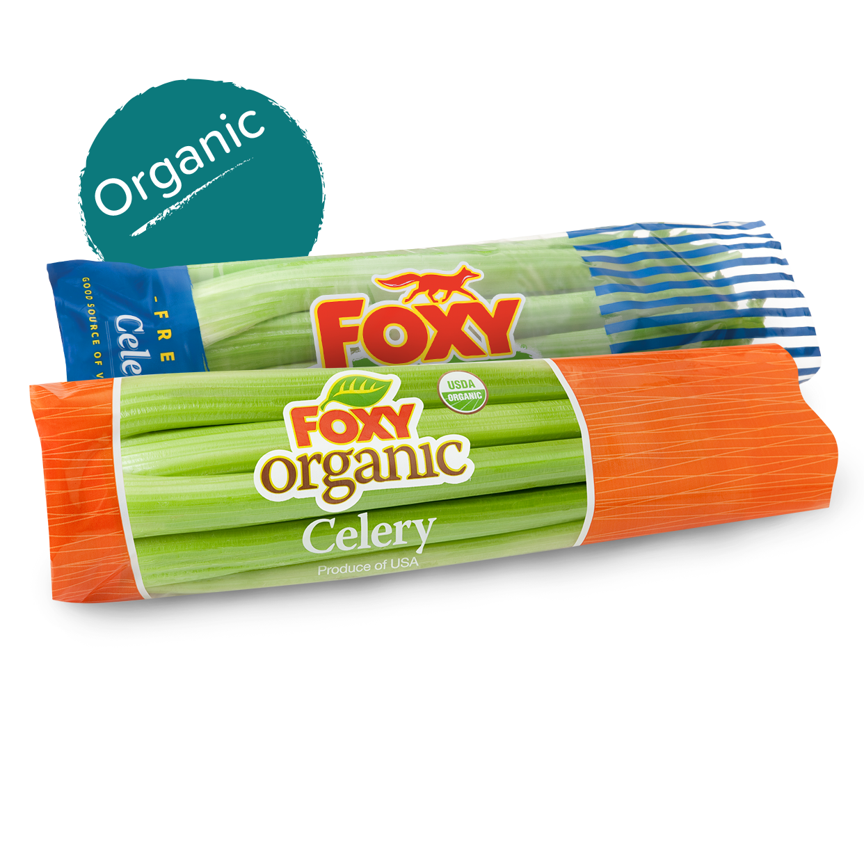 foxy-celery-organic