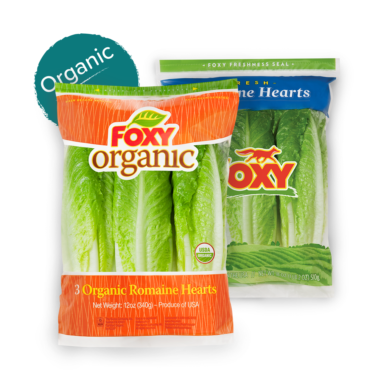 foxy-romaine-hearts-organic
