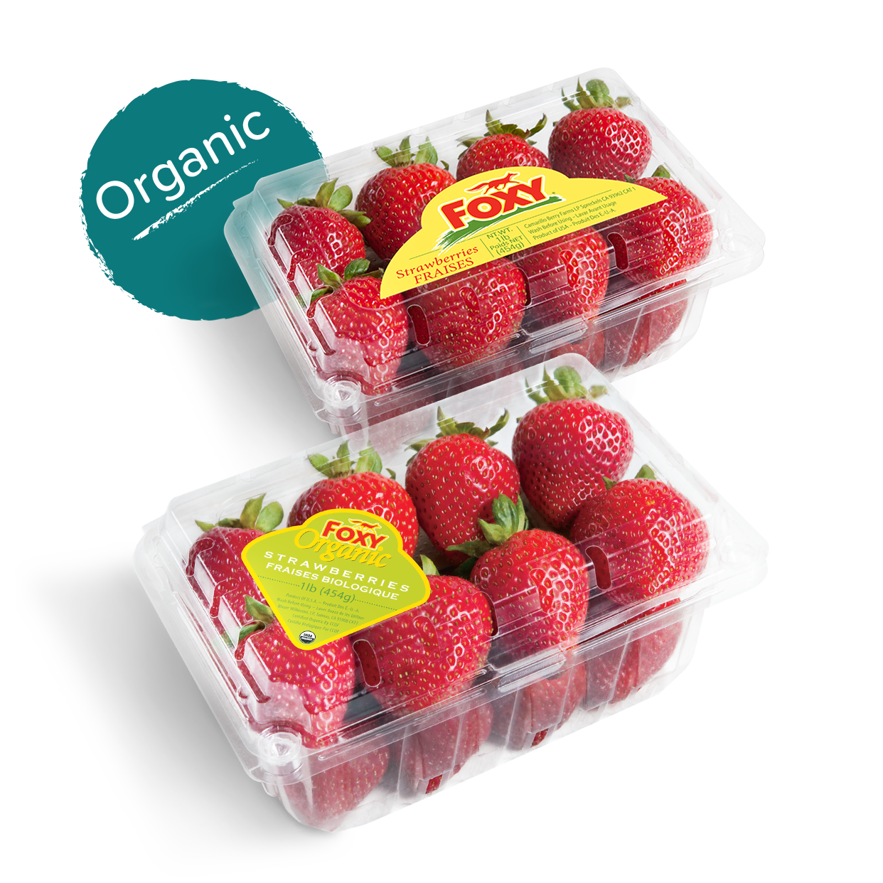 foxy-strawberries-organic
